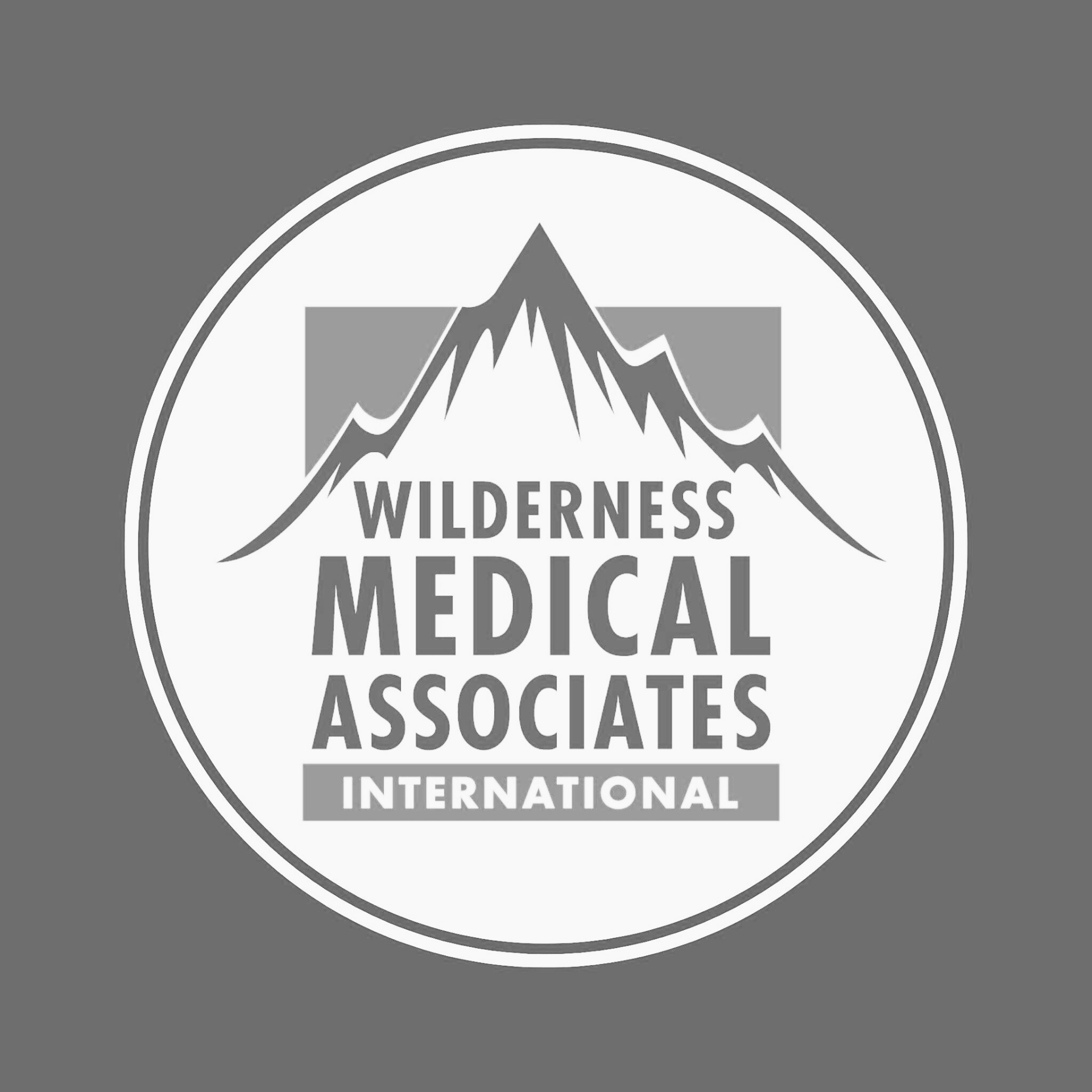  Wilderness Medical Associates 
